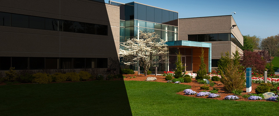 Terra Bella Landscapers