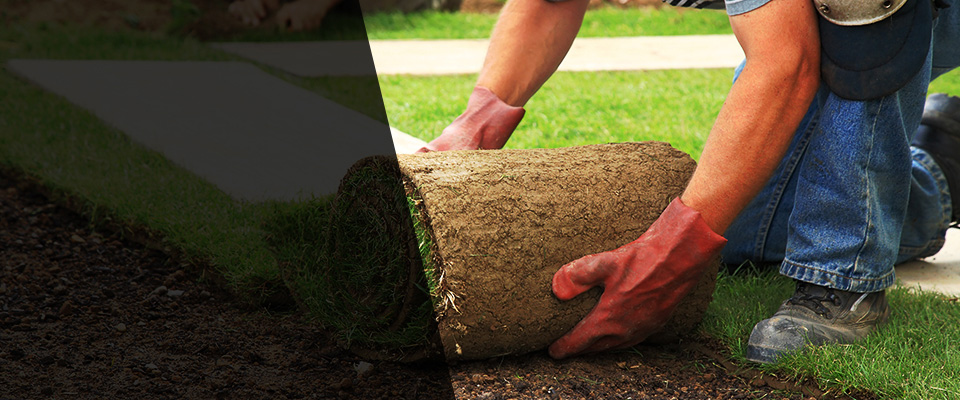 Terra Bella Landscapers